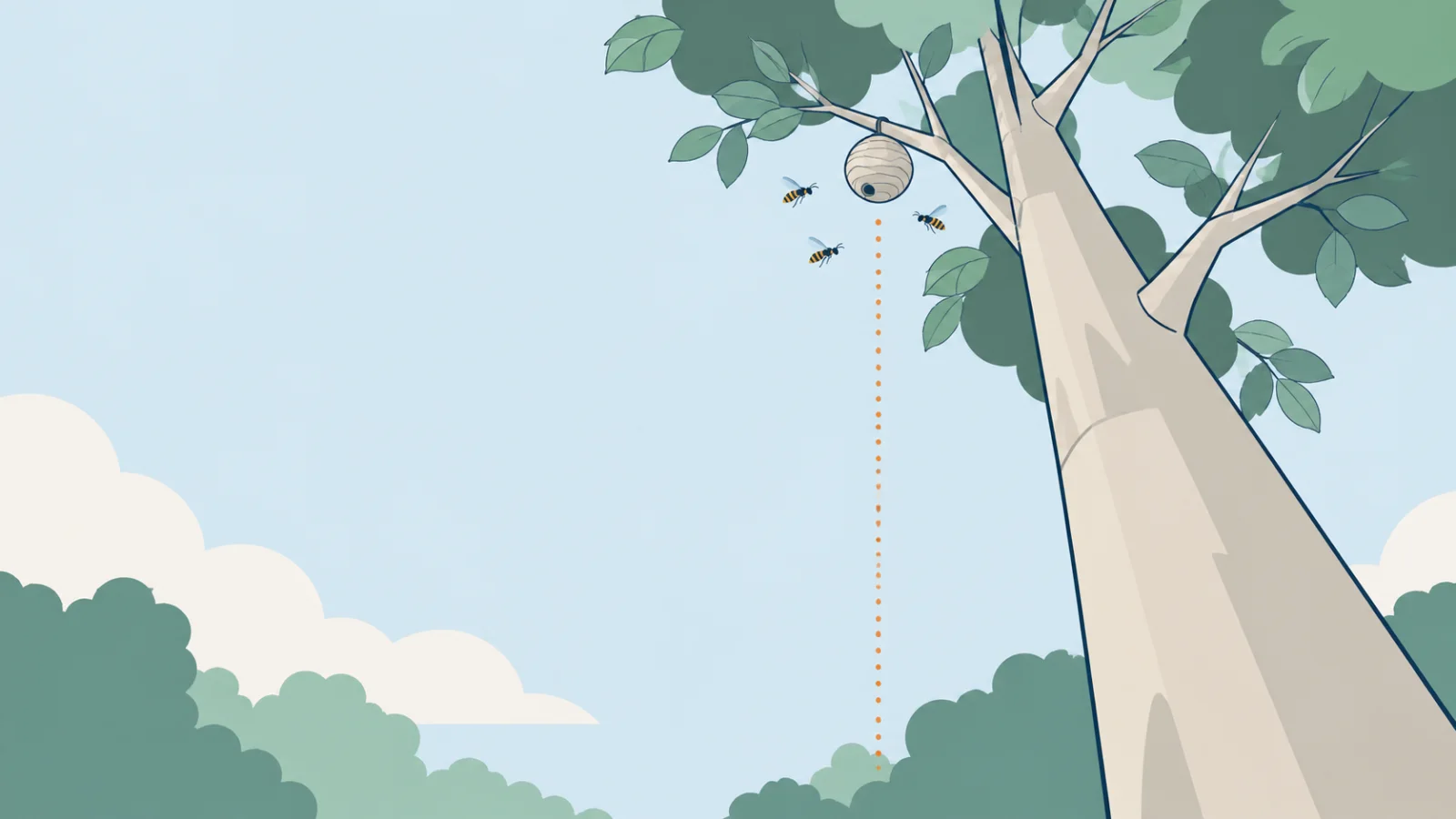 Nid sphérique installé en hauteur dans un arbre